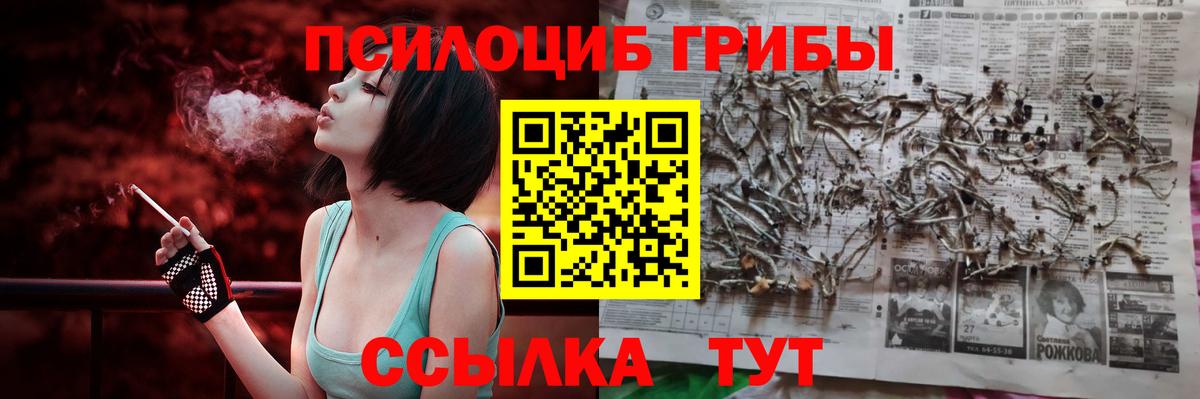 Новоалтайск  Псилоцибиновые грибы GOLDEN TEACHER  Вход с VPN 